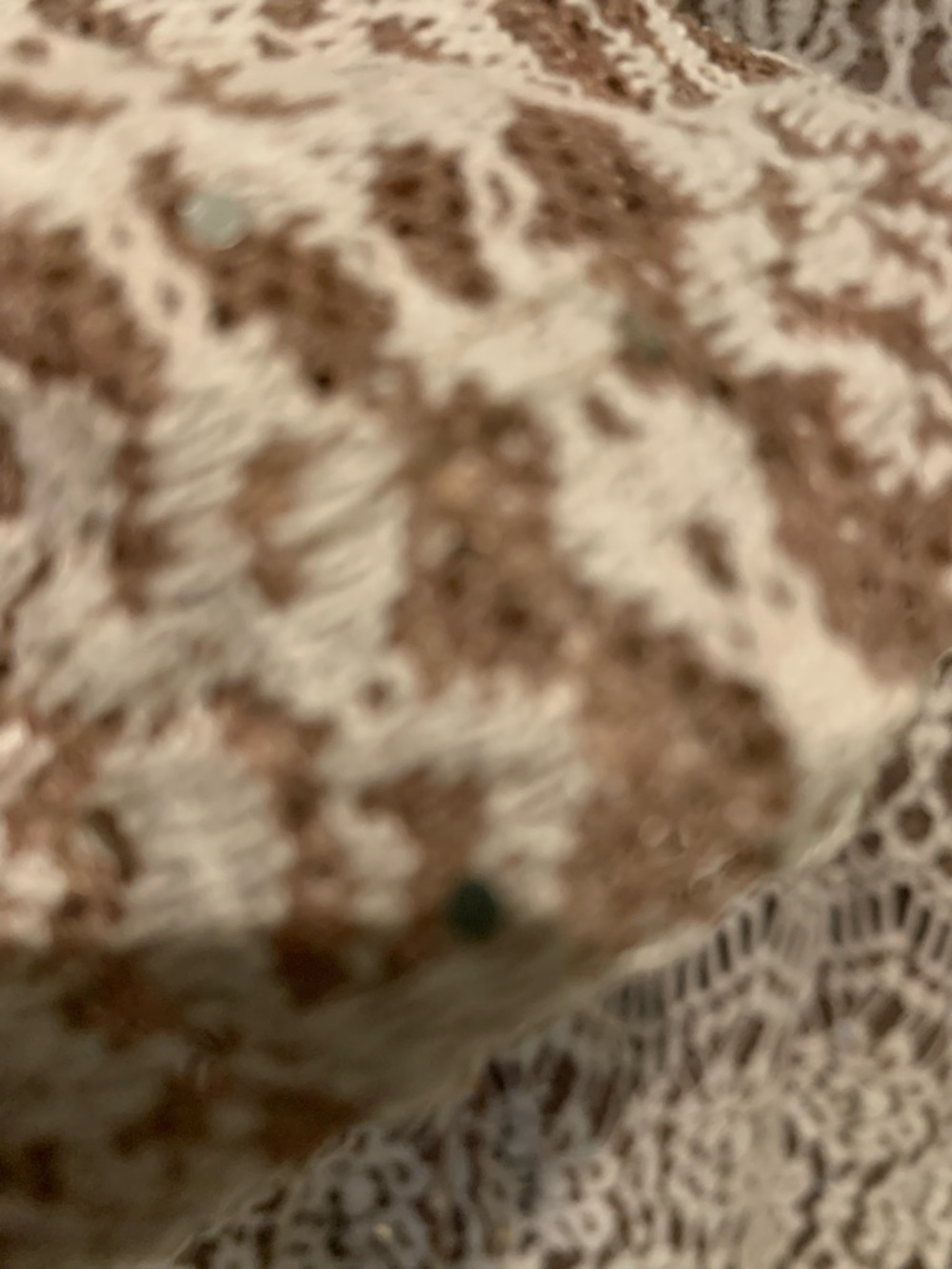 Jessica H Lace Dress in Tan and Cream - Picture 6 of 7